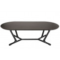 Coffee table Salluzo, ash wood veneer, 130x60x40cm