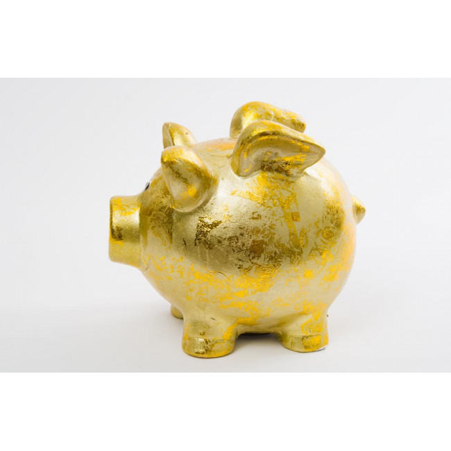 Saving bank Goldy Piggy, golden, 11.5x15.5x14cm