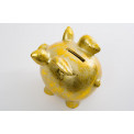 Копилка Goldy Piggy, золотой цвет, 11.5x15.5x14cm