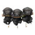 Настенная вешалка Three mini dogs, 20.5x29x12cm
