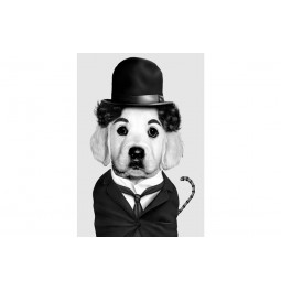 Picture Charlie Chaplin Dog, 60x80cm