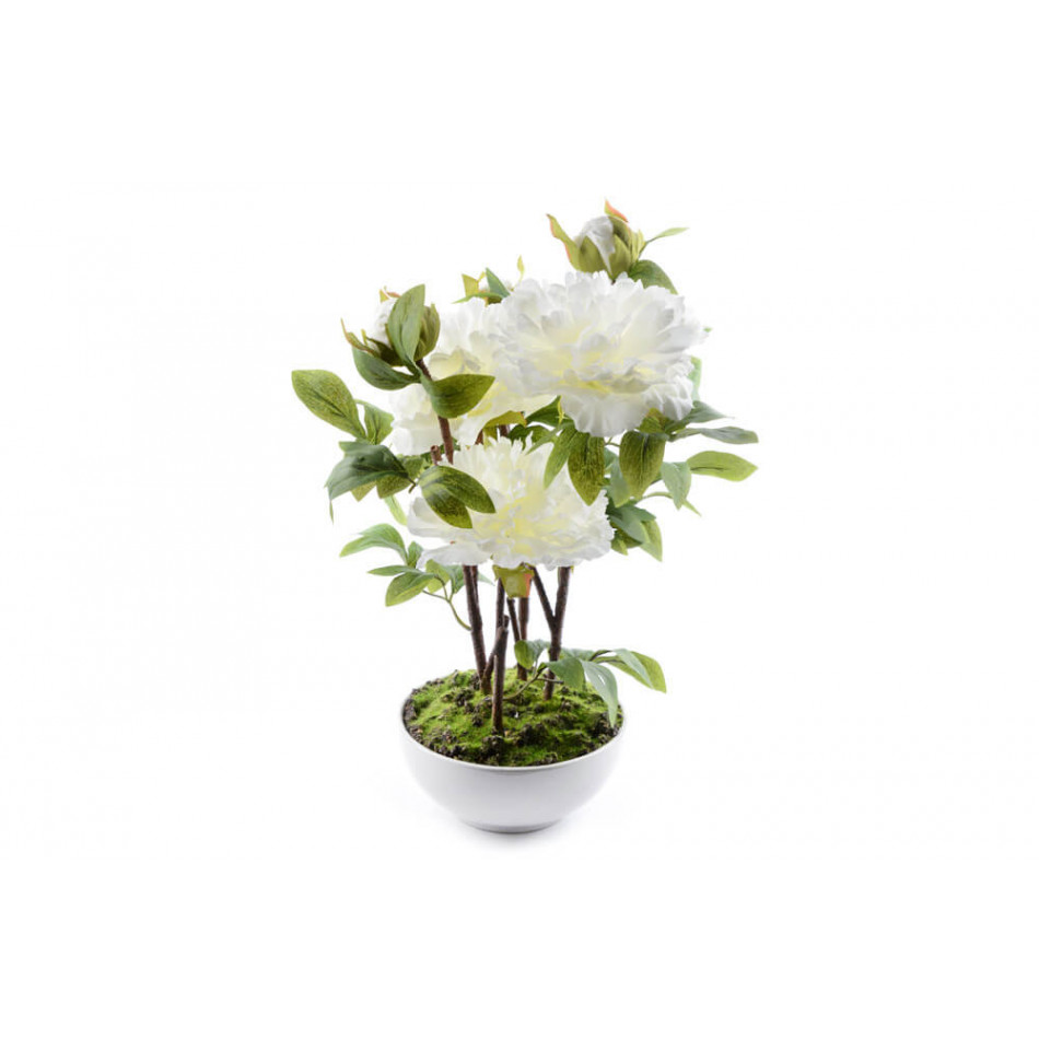Peony in flowerpot, white, H-49cm
