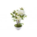 Peony in flowerpot, white, H-49cm