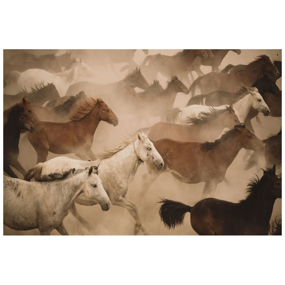 Настенный декор Running horses, 120x80cm