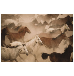 Wall decor Running horses, 120x80cm