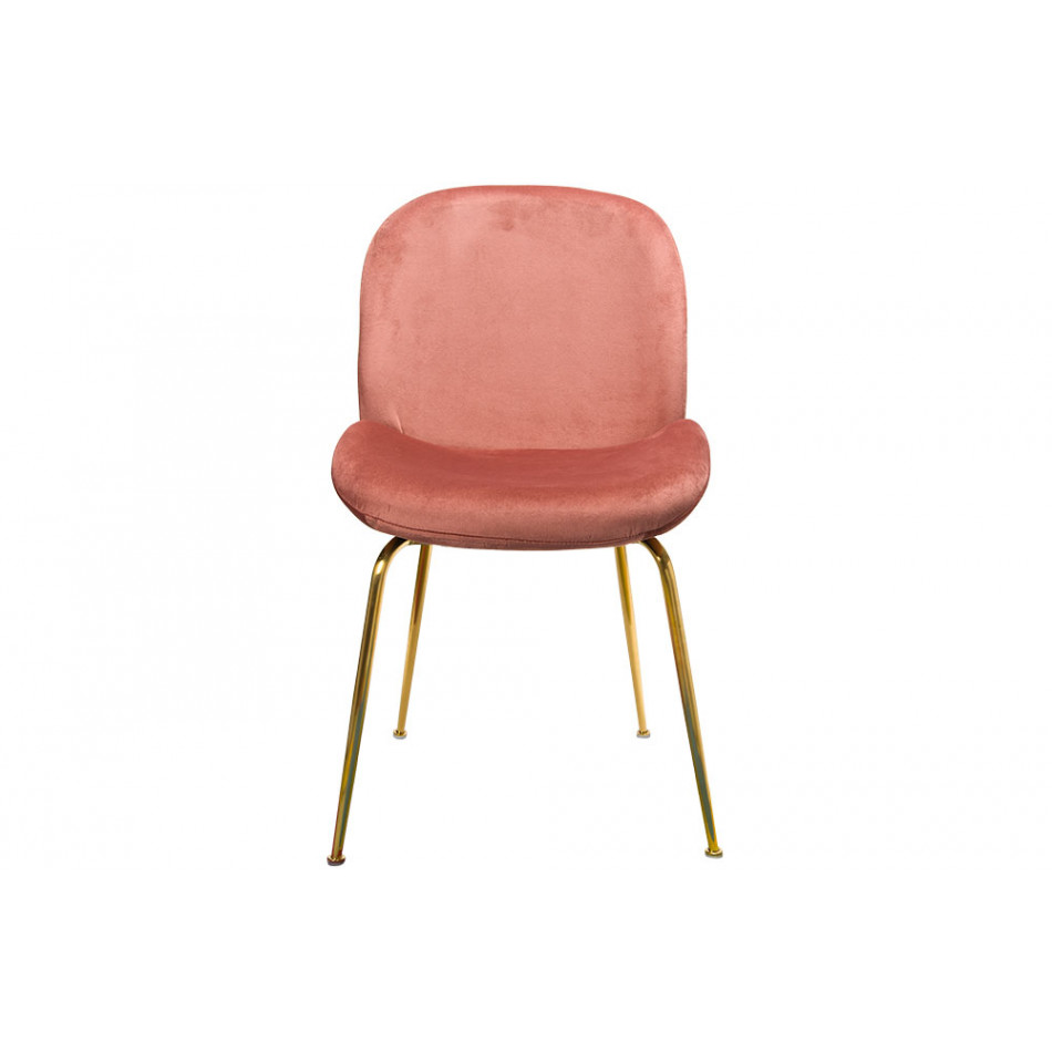 Dining chair Troja, pink colour, velvet, 58x46x88cm, seat height 47cm