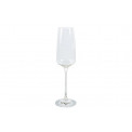 Champagne flute glass set Wine Nova, 250ml, H-24.5cm, D-7cm