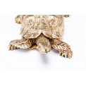 Decorative figurine Turtle, gold, 11x26x30cm