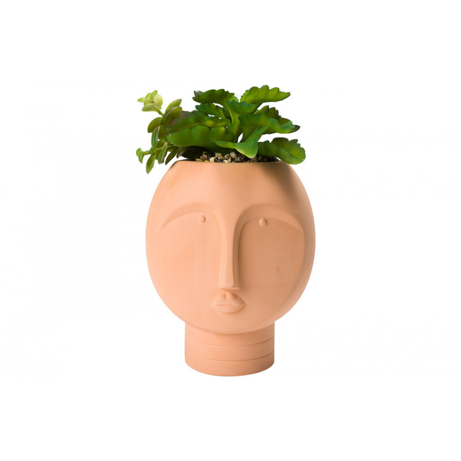 Decorative plant in pot Face, 12x11.5x18.5cm