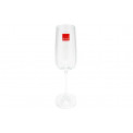 Champagne glass Vista, 250 ml, H24.5x5cm