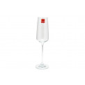 Champagne glass Vista, 250 ml, H24.5x5cm