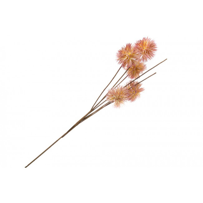 Декоративное растение Virburnum opolus, H100cm