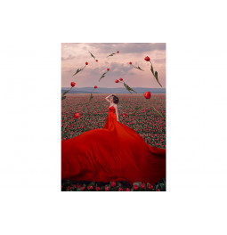Picture Lady in red dress, 120x80x0.4cm