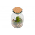 Jar with plant and LED, 12x18cm