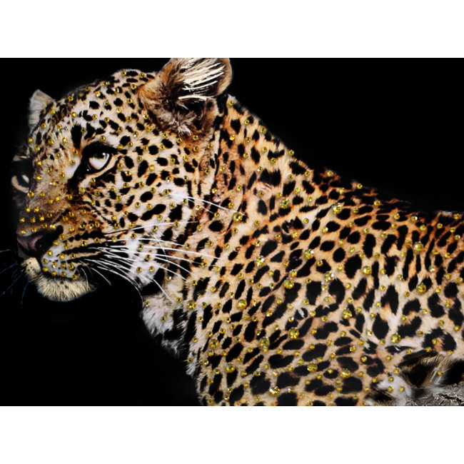 Glass picture Relaxed Leopard, 80x120cm