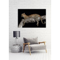 Glass picture Relaxed Leopard, 80x120cm