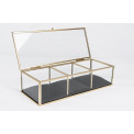 Jewellry box Gold glass H7x25.2x10.3cm