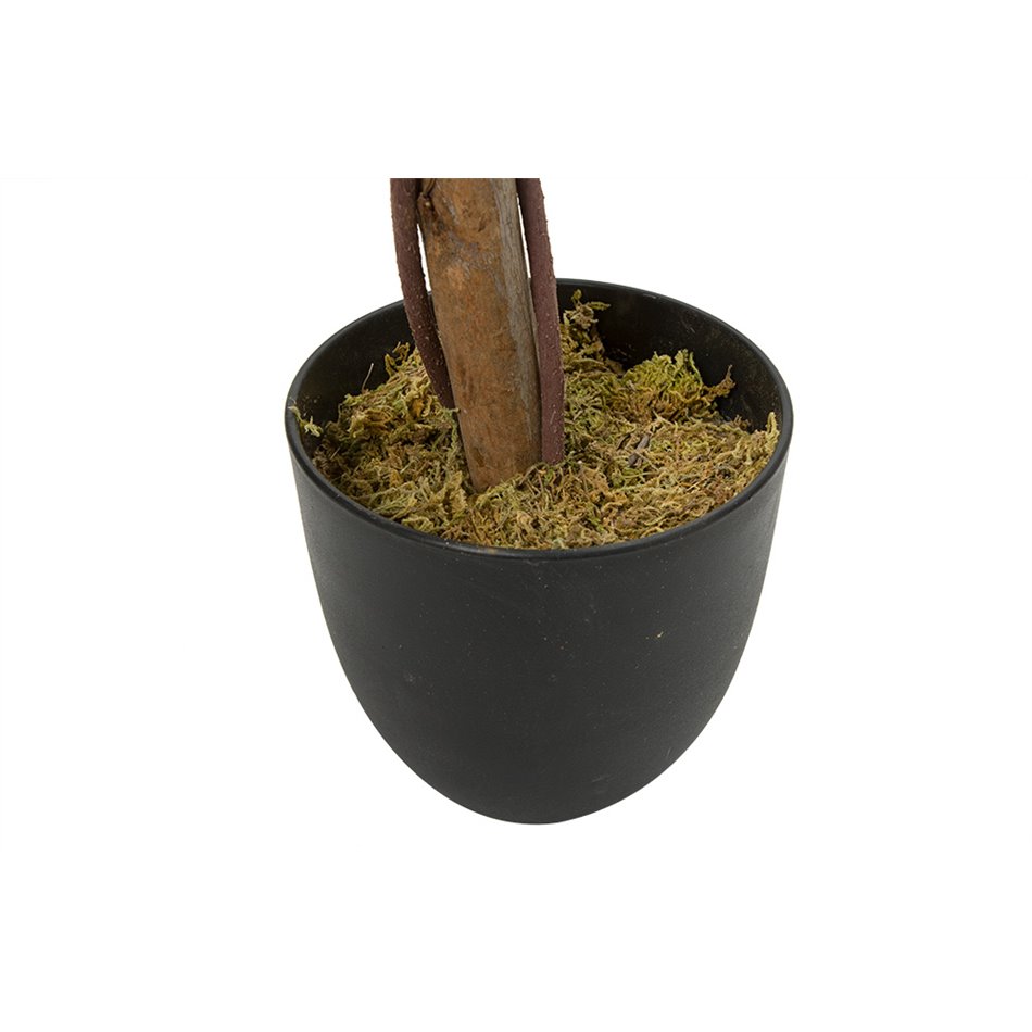 Artificial ficus with pot, H120cm