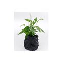 Deco planter Lion Black, 44x40x38cm D24.5