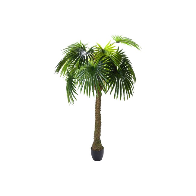 Artificial Palm, H180cm