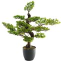 Artificial tree with pot Bonsai, H80x80x54cm
