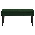 Bench Aglory, green, 45x95x38cm