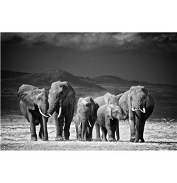 Wall glass art Elephant Family, 80x120x0.4cm