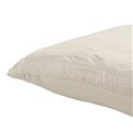 Pillow Jakobs 13, 50x50cm 