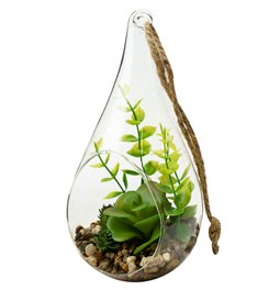 Plant arrangement, H19.5cm