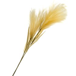 Feather Grass, H125cm
