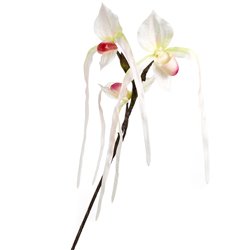 Orhideja II, H78cm