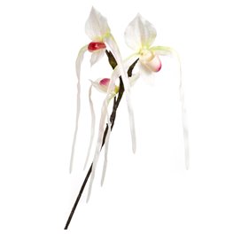 Orhideja II, H78cm