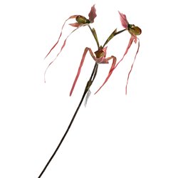 Orhideja III, H78cm