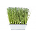 Grass in metal pot, H28cm