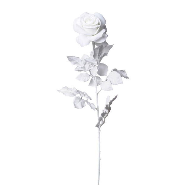Rose, H80cm