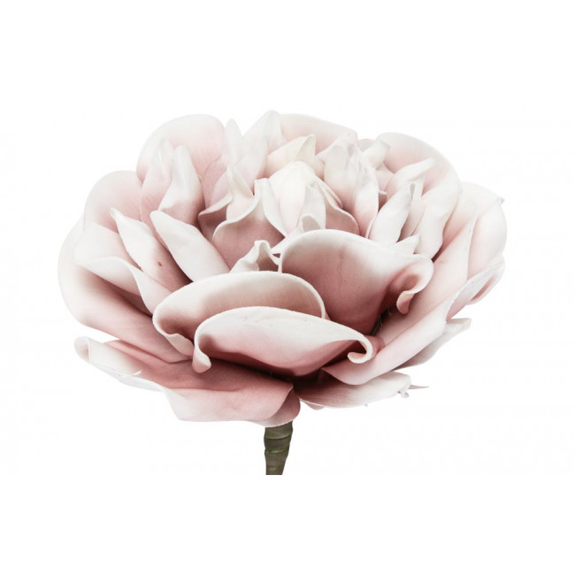 Rose, pink, 121cm