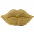 Money box Lips, 13x29x10cm