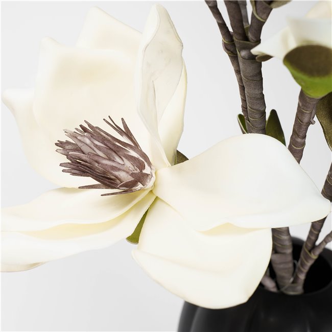 Decorative plant Helleborus A01, cream/green, 120cm