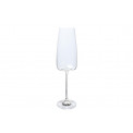Champagne flute Lord, 340ml, h25x6.5cm