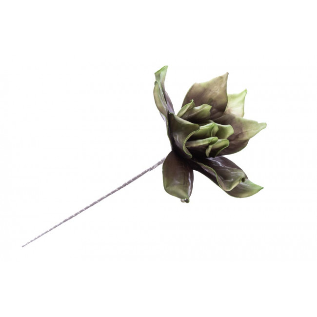 Rose, green, H90cm