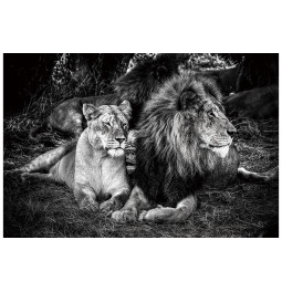Стеклянная картина Lion, 150x100см