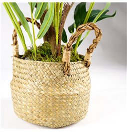 Artificial Palm in pot, H80cm D18cm