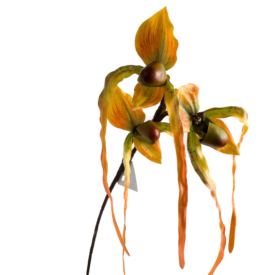 Orhideja I, H78cm