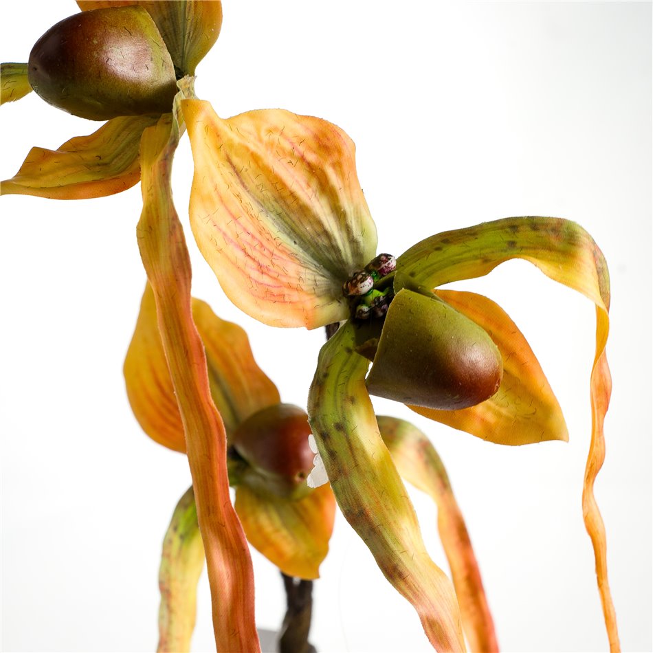 Orhideja I, H78cm