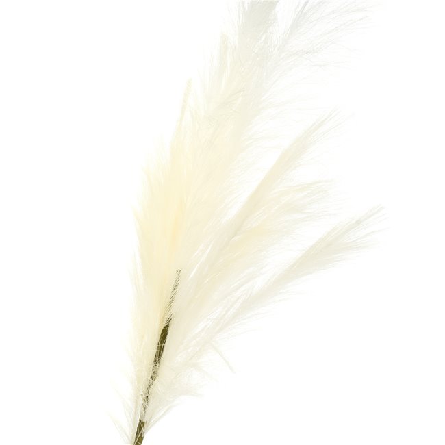 Malinija Cream, H110cm