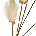 Декоративное растение Dust Broom Natural, H102cm