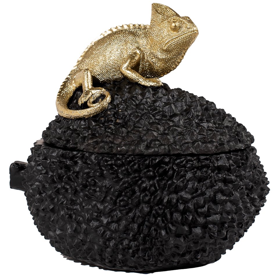 Decorative box Chameleon, 19.5x14x19cm