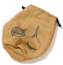Bag for onion