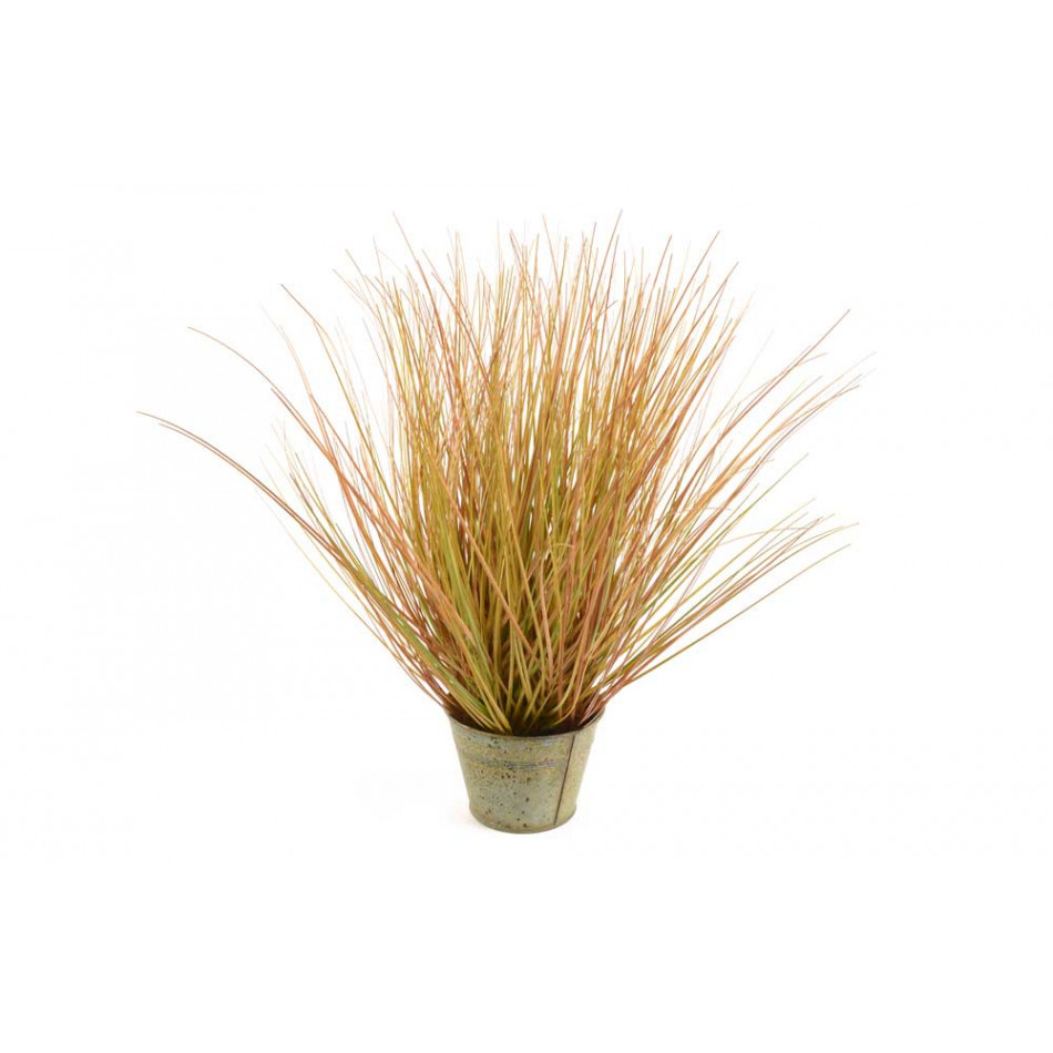 Grass in pot, H50cm