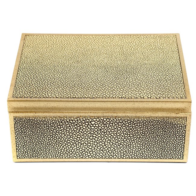 Box plasic Fulga golden M, H8.5x20x15cm